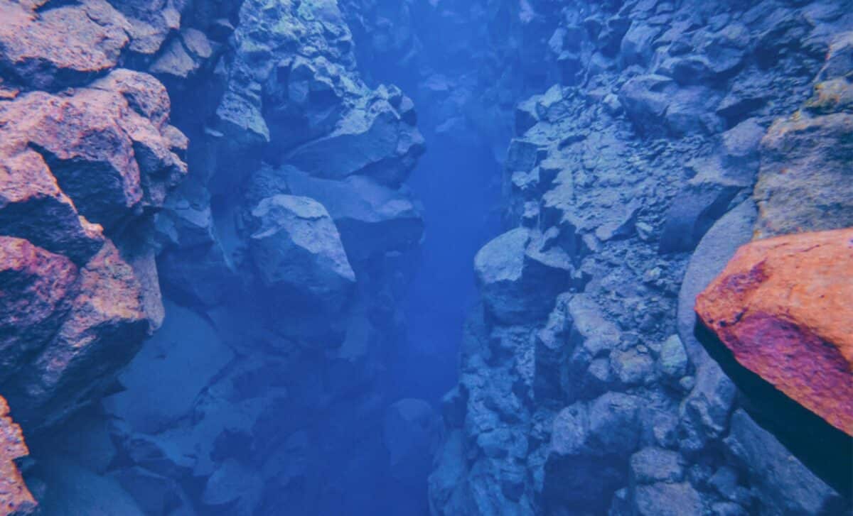Detailed topographic map showing hundreds of deep submarine canyons carved beneath Antarctic ice shelf