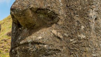 Boston Discovers 1729 Gravestone of Freed Black Man - Image 4