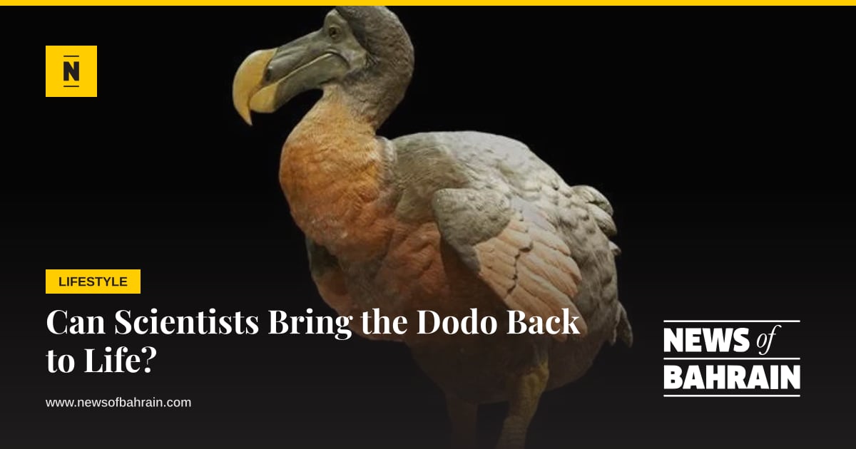 Scientists Use AI to Bring Back Dodos From Extinction
