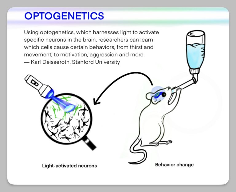 Stanford Professor Wins Nobel for Light-Controlled Brain Tech - Image 5