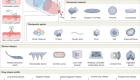 Old Bullets Become Clean Energy in New Solar Breakthrough - Image 4
