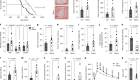 Scientists Link DNA Repair to Longer, Healthier Lives - Image 4