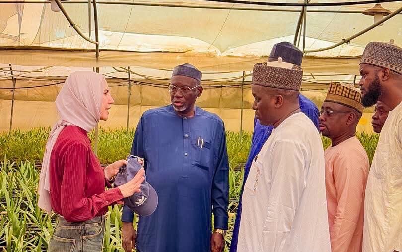 Nigeria's Jigawa State Brings Biotech to Farms