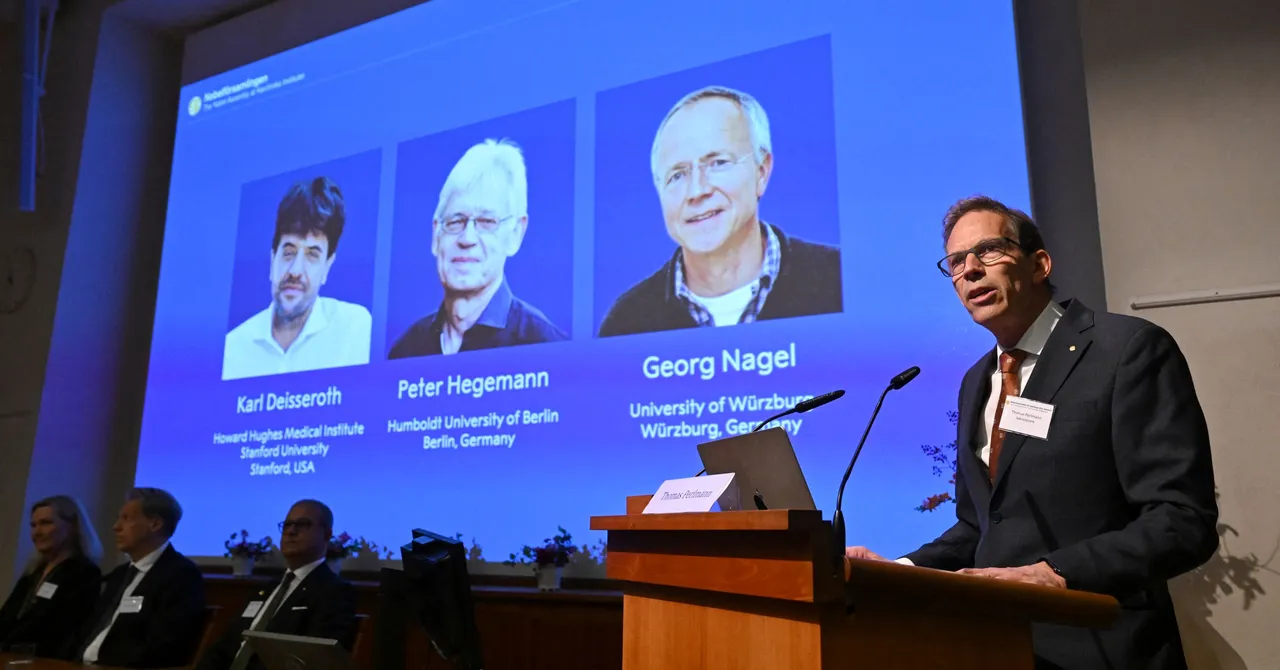 Light-Controlled Neurons Win 2026 Nobel Prize in Medicine