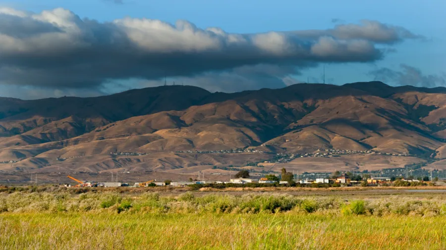 Teen Links Affordable Housing to Climate Action in Milpitas - Image 2