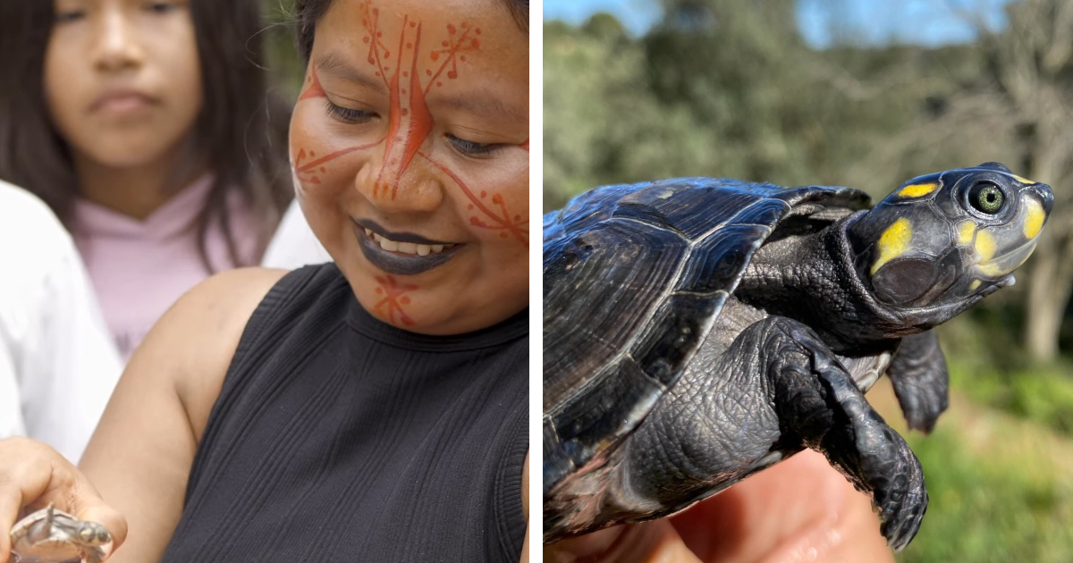 Amazon Turtle Women Blend Tech and Tradition to Save Species