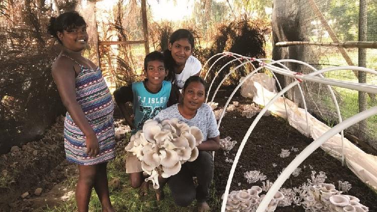 How Grass Helped 3,500 Fiji Families Grow Food on Salty Soil