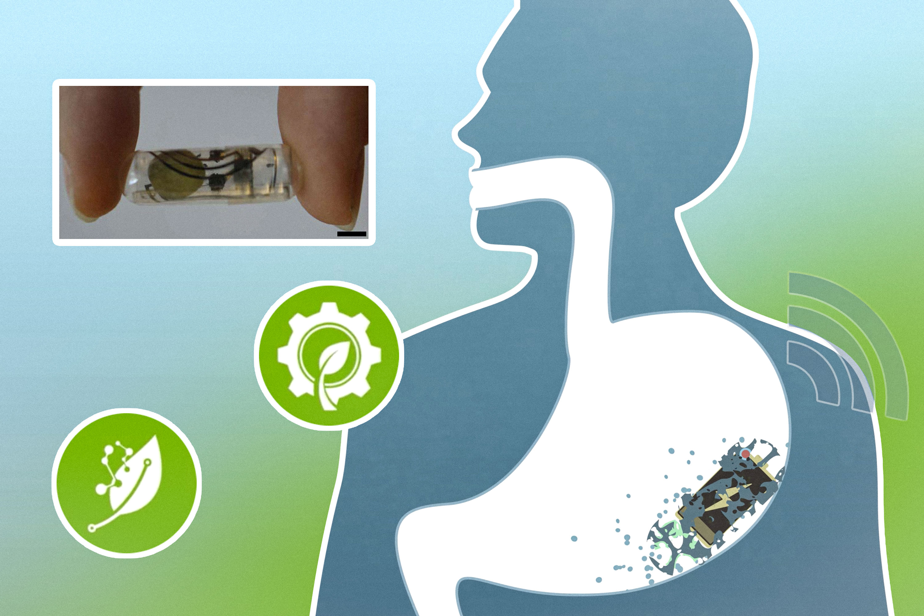 MIT Creates Edible Batteries for Medical Capsules