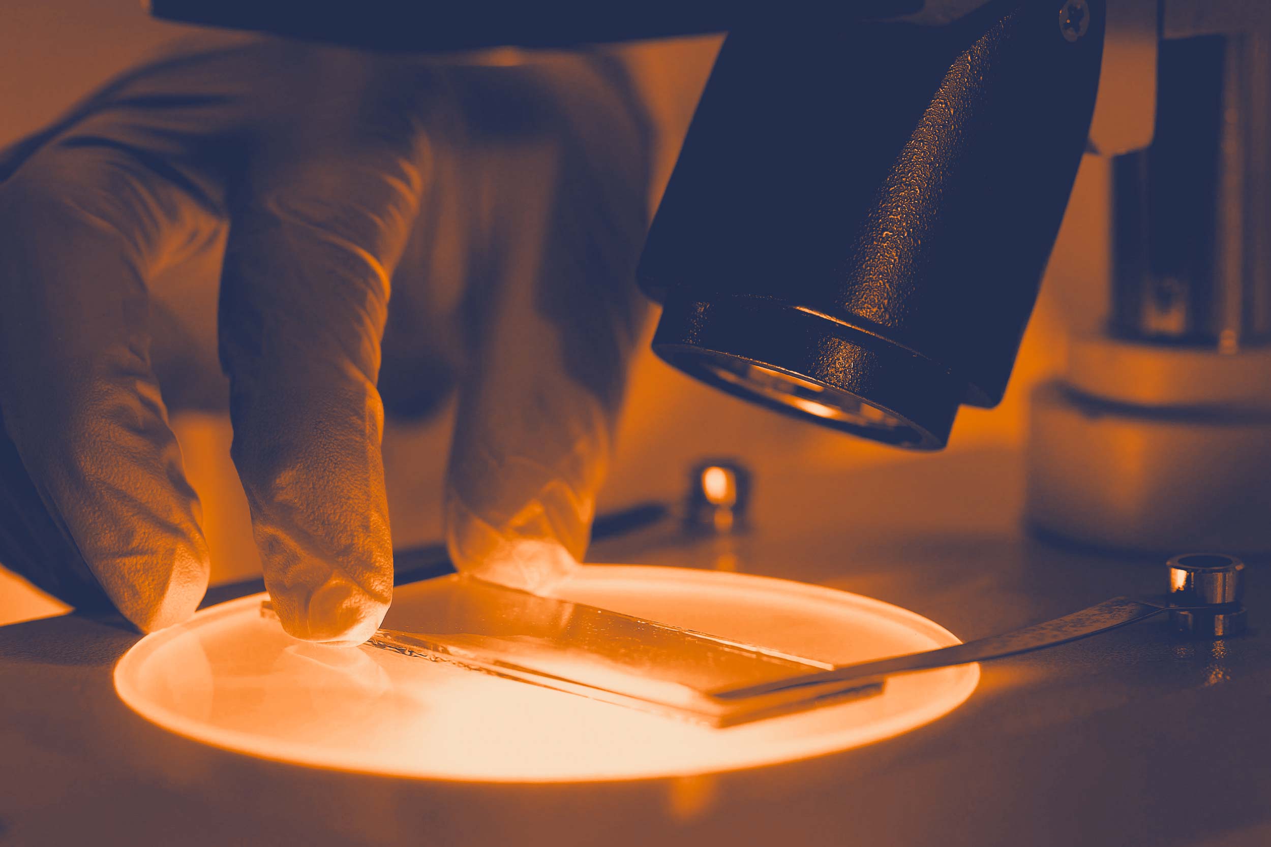 UVA Lab Research Becomes FDA-Approved Leukemia Drug
