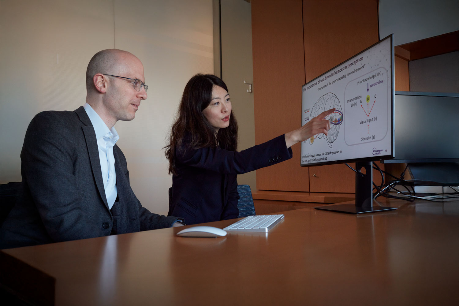 Scientists Discover How Brain Learns From a Single Glance