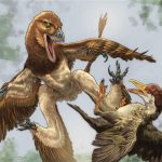 New Predator Dinosaur Found at China's Famous Bird Site - Image 3