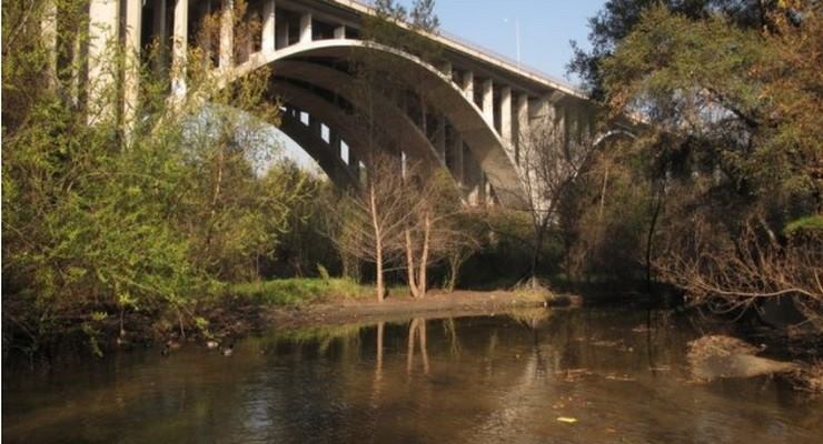 Pasadena Volunteers Restore 1,000-Acre Urban Forest Trail