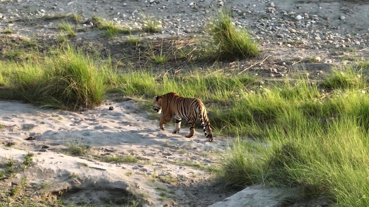 Nepalese community members learning wildlife tracking techniques in the Terai plains conservation area