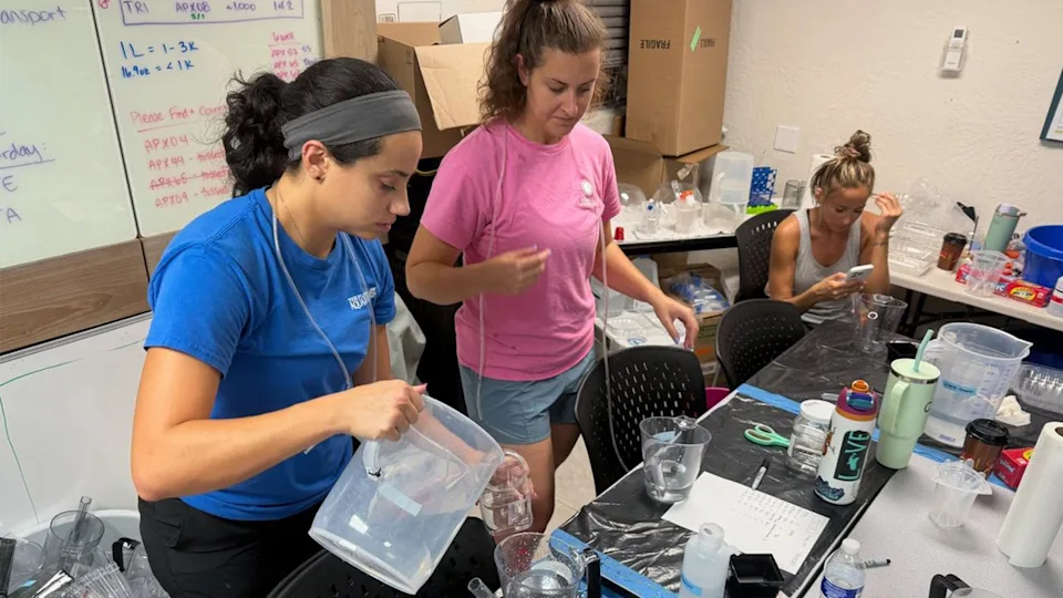 Florida Scientists Rescue 61,000 Coral Babies From Extinction - Image 4