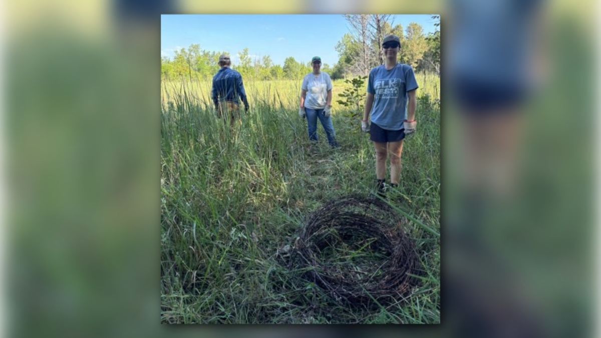 Volunteers clearing boat lanes and trails at Arkansas Wildlife Management Area