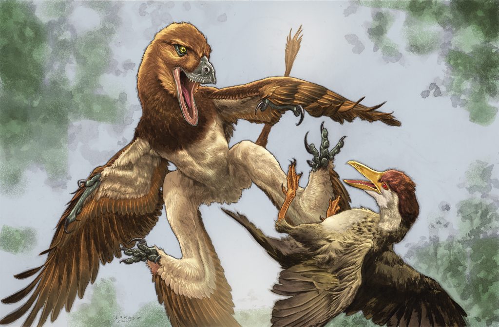 New Predator Dinosaur Found at China's Famous Bird Site - Image 2
