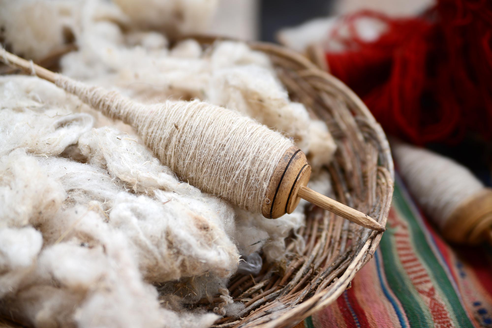 Scientists Turn Wool Into Better Bone-Healing Material