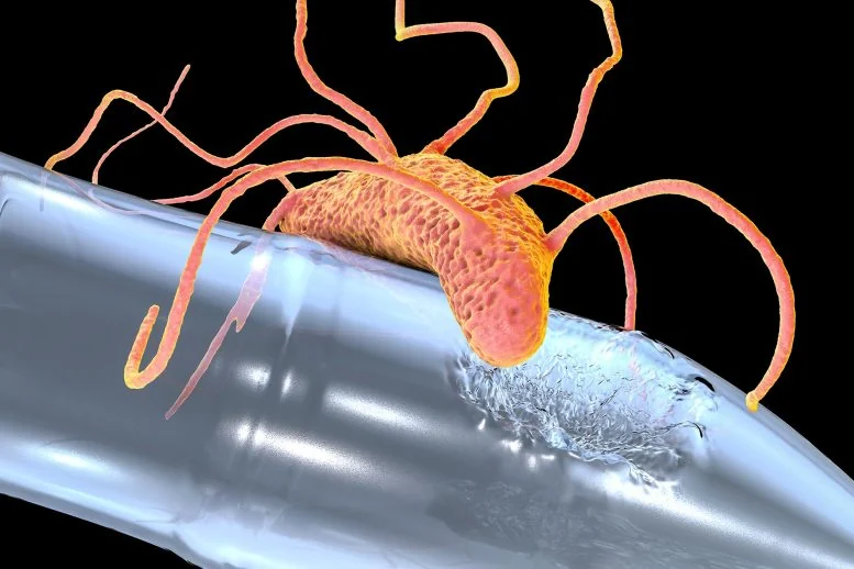 Scientists Find Pac-Man Enzyme That Eats Plastic