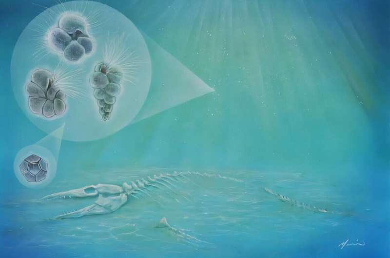 New Species Evolved Just 2,000 Years After Dinosaur Death - Image 3