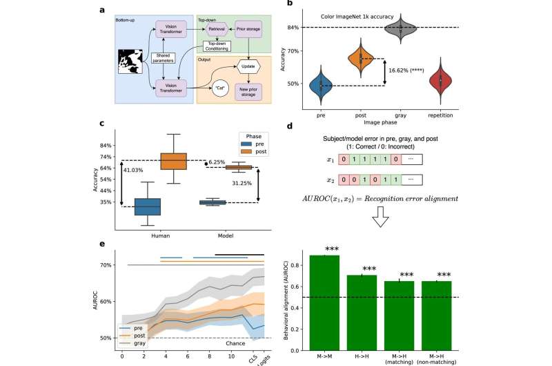 Scientists Find Where Brain Stores 'Aha Moment' Insights - Image 3
