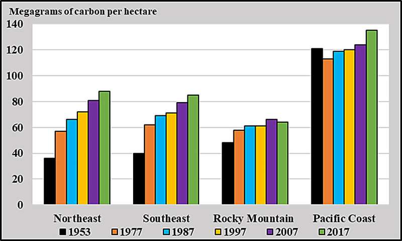 US Forests Store Record Carbon in Last Two Decades - Image 4