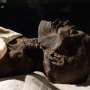 Costa Rica Unearths 40,000-Year-Old Mastodon and Sloth Bones - Image 3