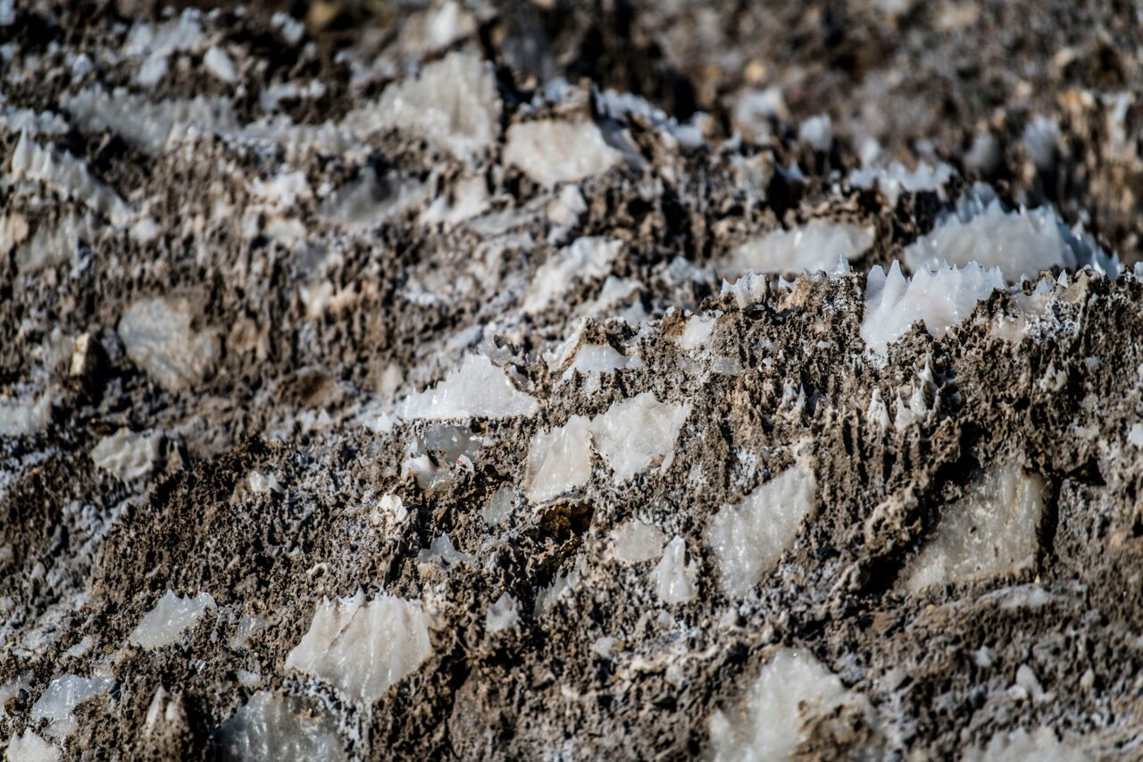Homeowners Cut Water Pollution With Simple Salt Fix - Image 2