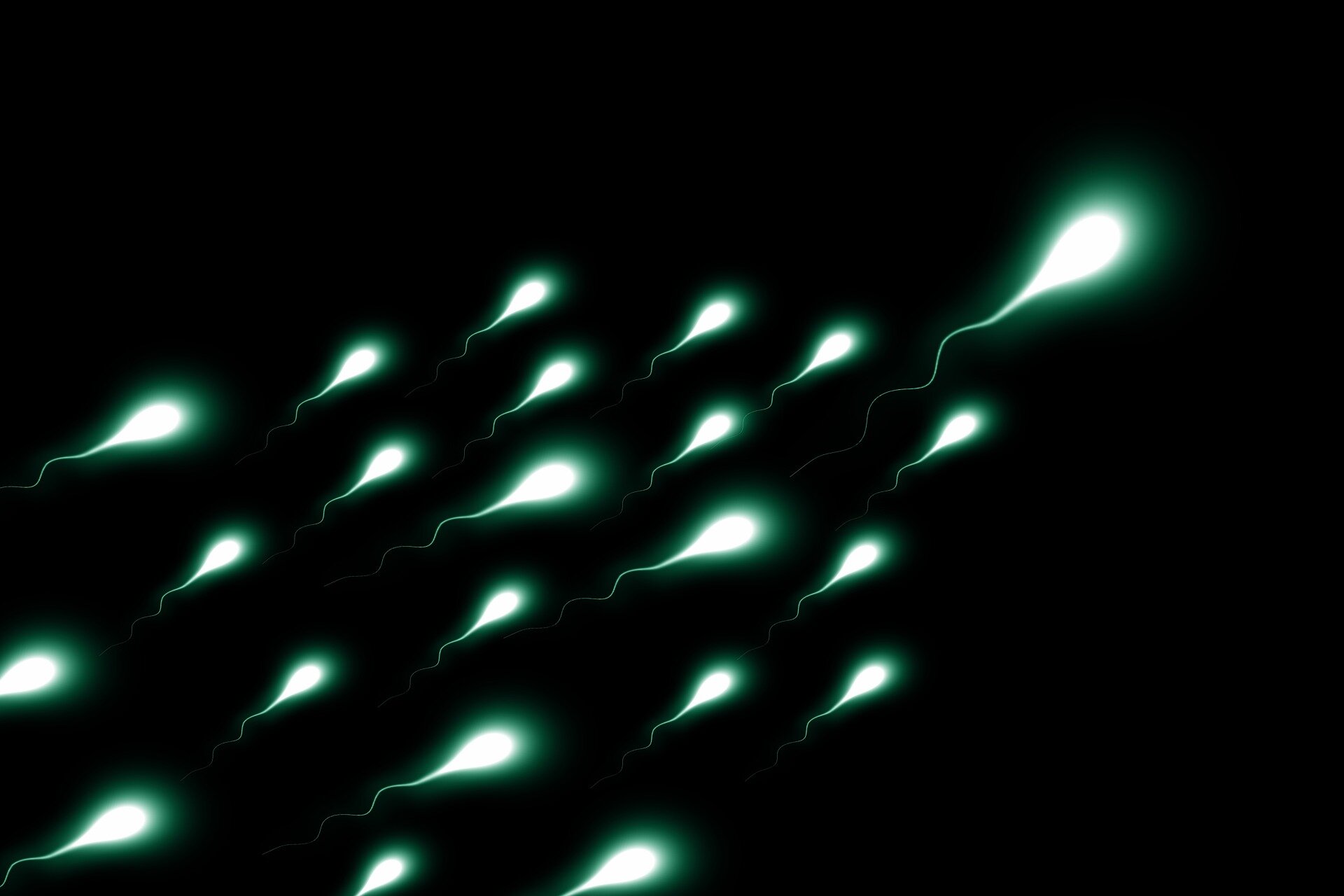 Microscopic view of human sperm cells showing molecular structure and genetic material