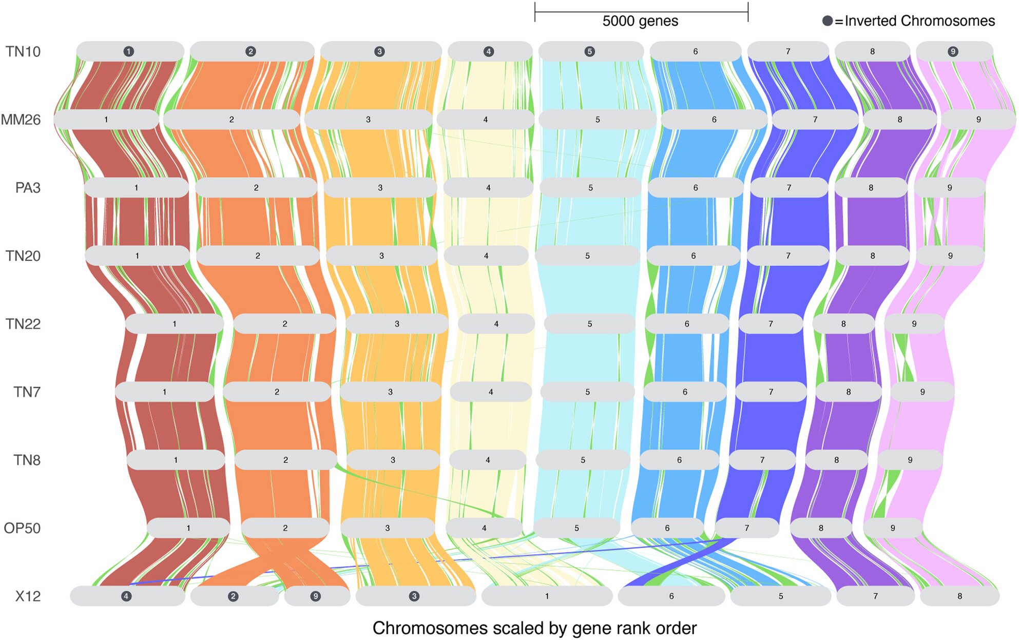 Microscopic view of genetic mapping research for soybean cyst nematode pest control