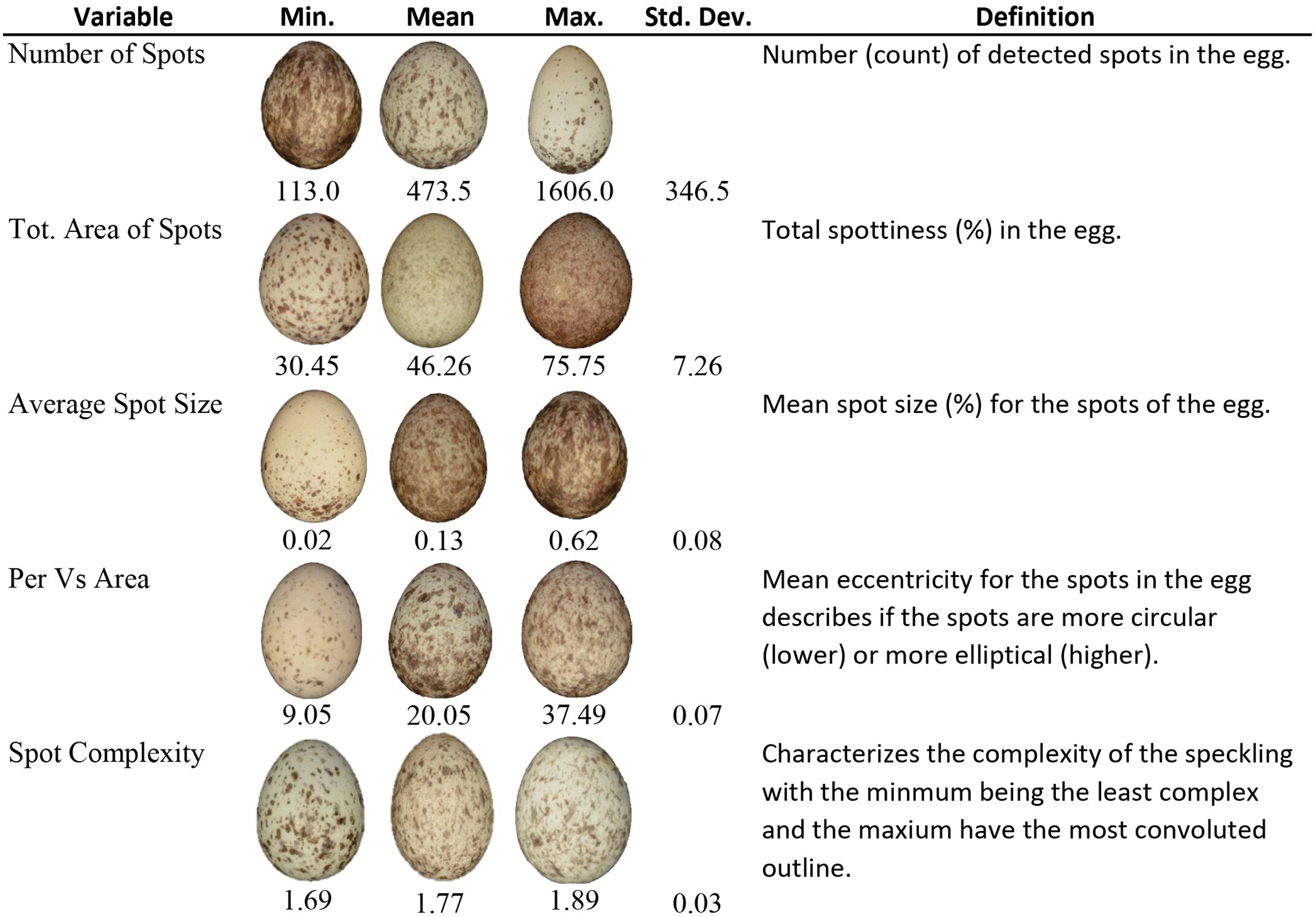 House sparrow eggs carefully packaged inside plastic Easter eggs for scientific research shipment
