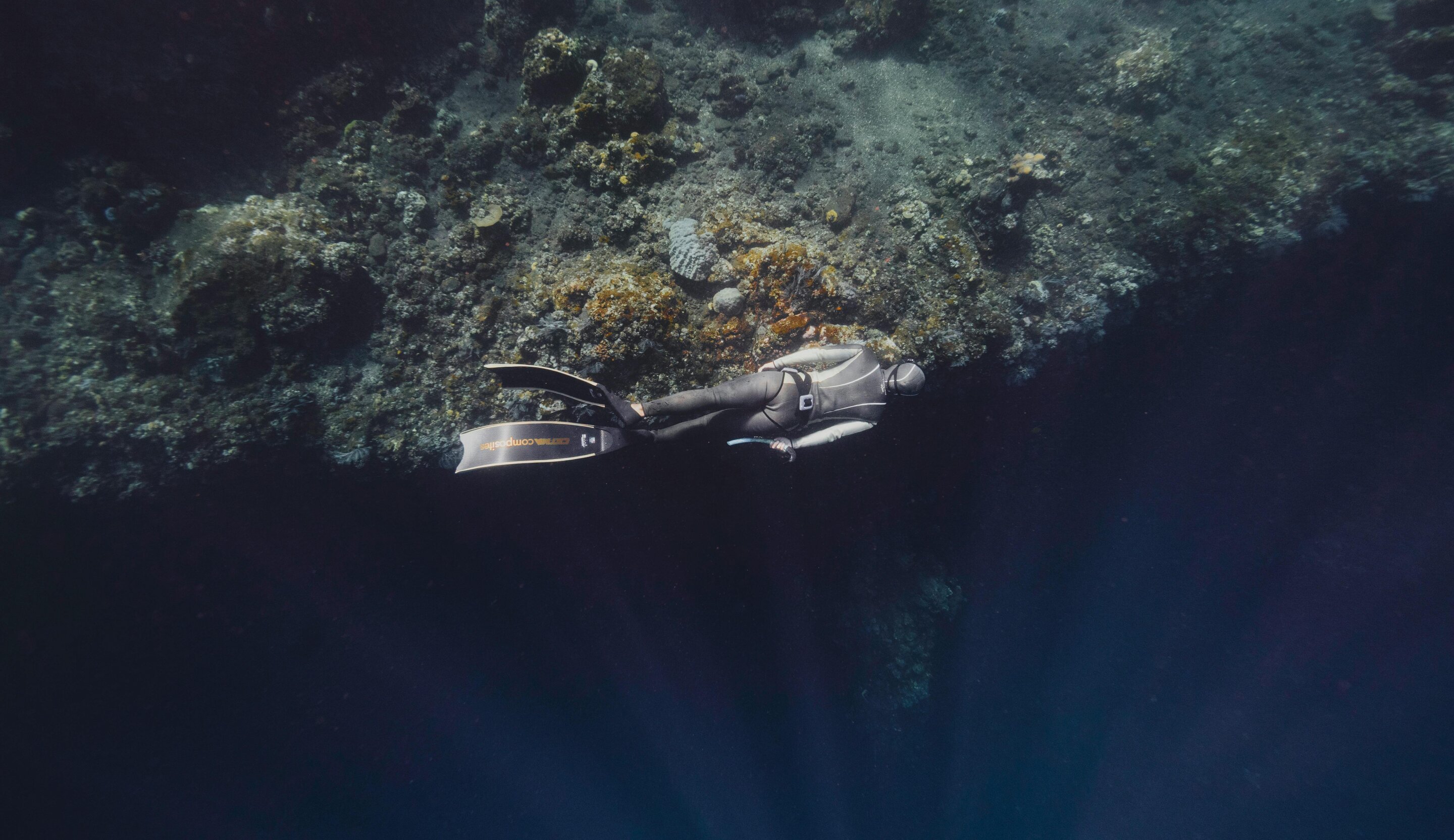Underwater view of vibrant coral reef ecosystem on dark ocean floor