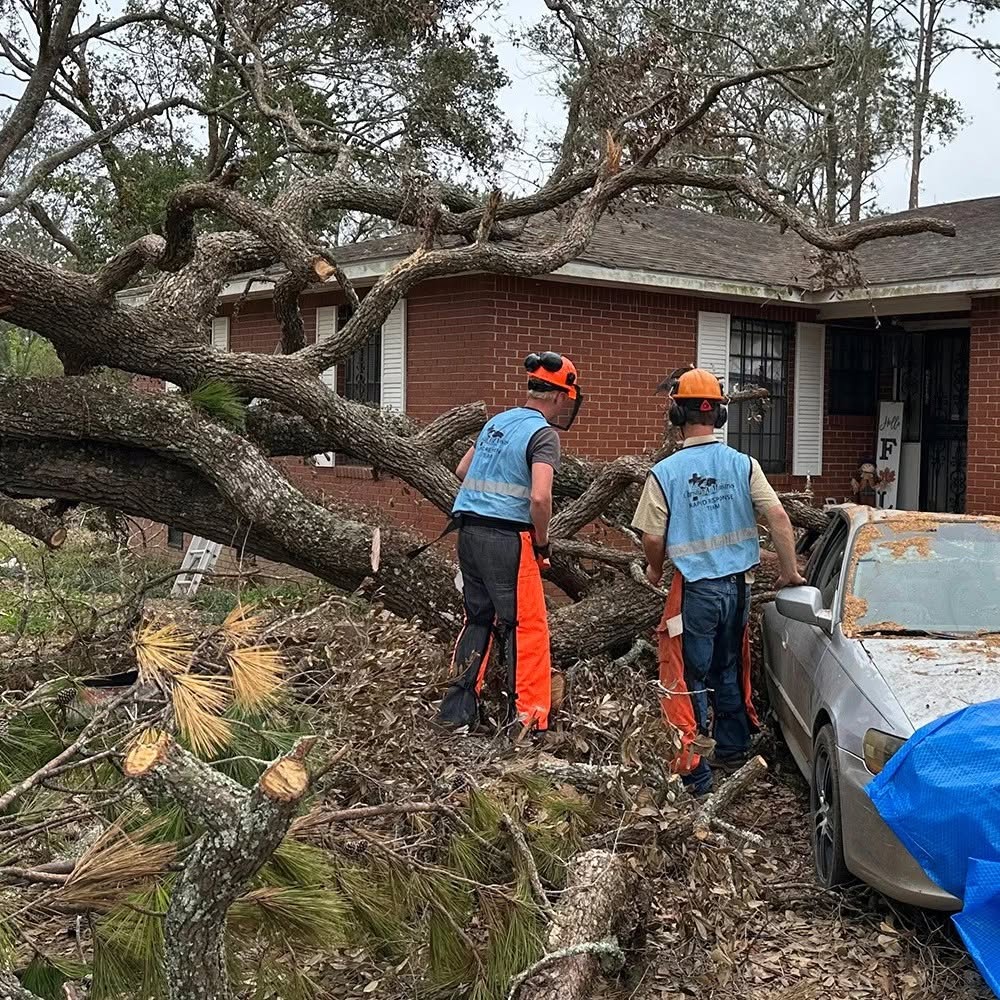 Mennonite Volunteers Clear Storm Damage in Illinois Town