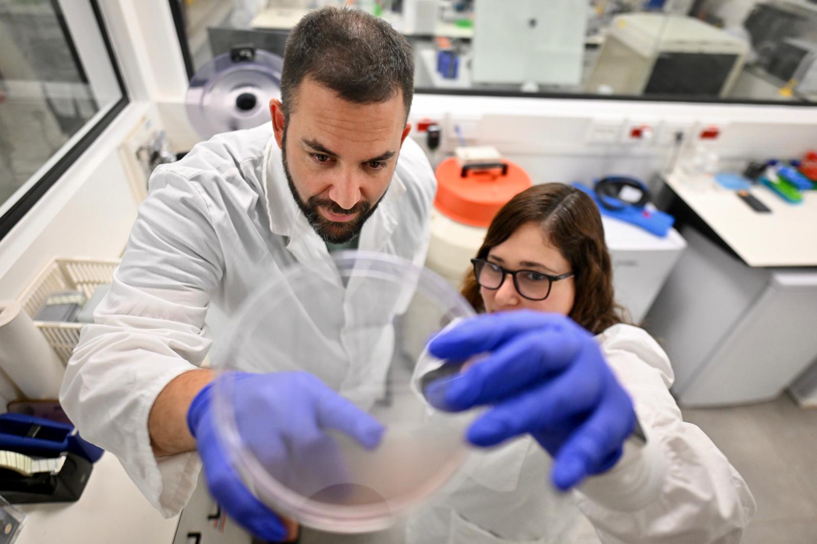 Scientists Assaf Zinger and Ofri Vizenblit working in laboratory at Technion Institute