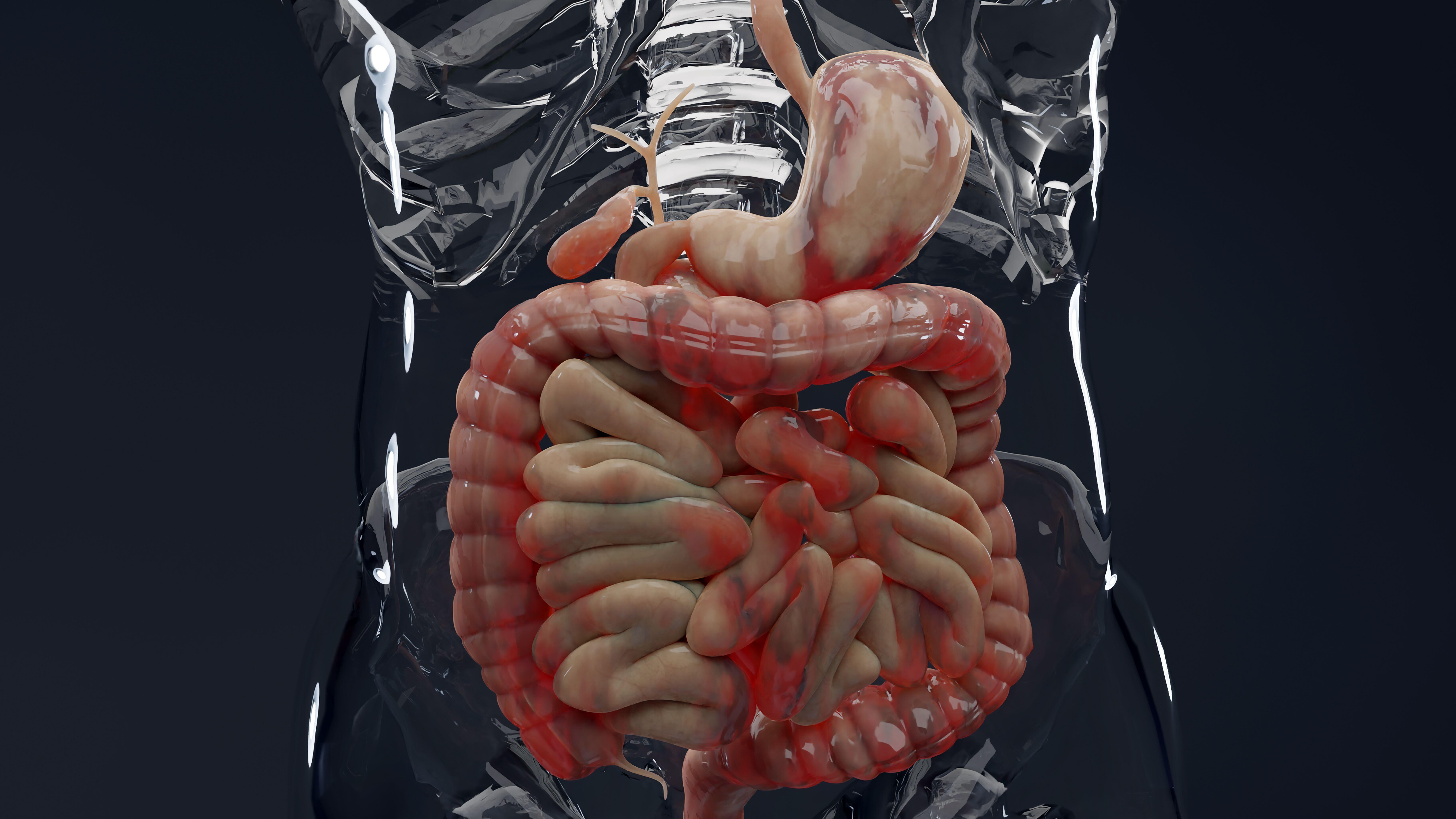 Scientists Find Key Trigger Behind Crohn's Disease Scarring - Image 2