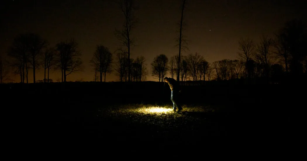 Meteor Hunters Rush to Ohio After Rare Fireball