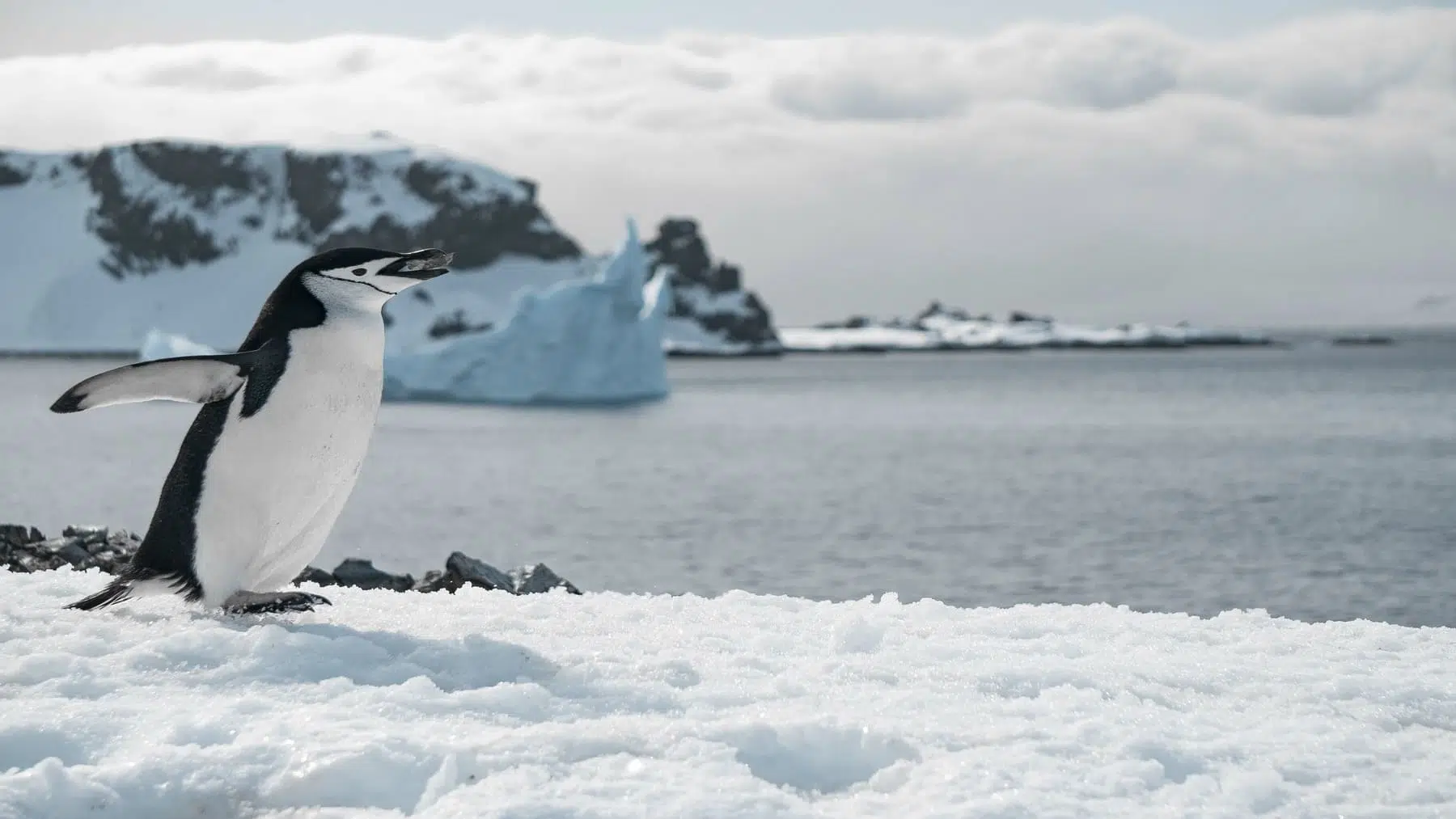 Antarctic Lakes Connect to Ocean in Groundbreaking Study