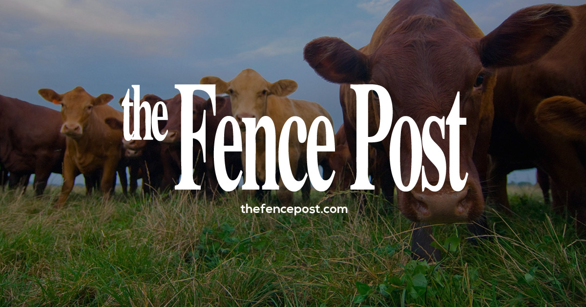 Colorado County Saves 64,000 Acres in 30 Years