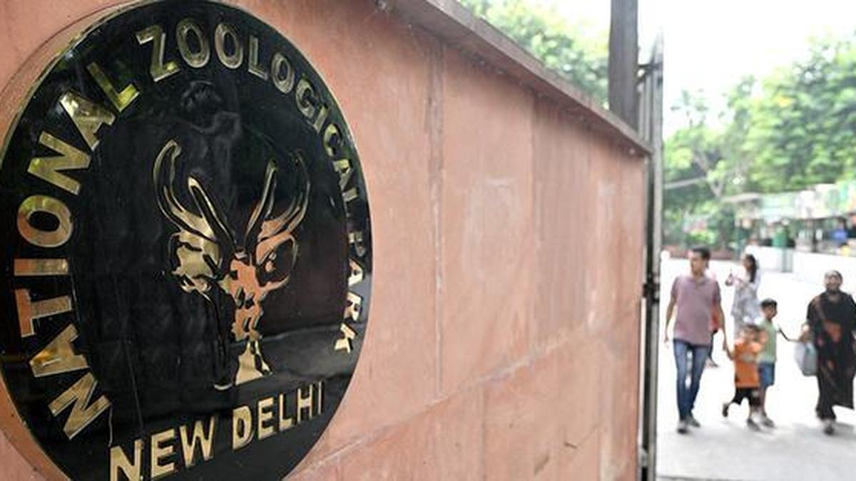 Entrance gates of National Zoological Park in Delhi with visitors walking through green pathways