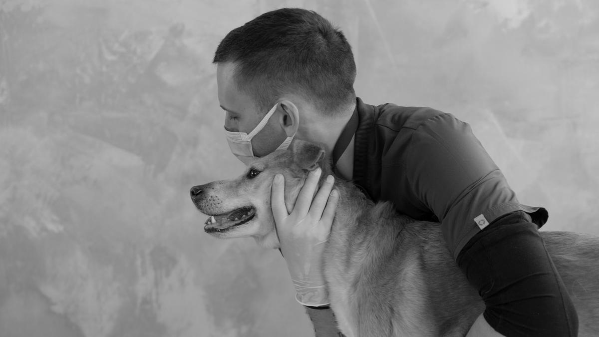 Vets Face Burnout Crisis While Healing Our Beloved Pets