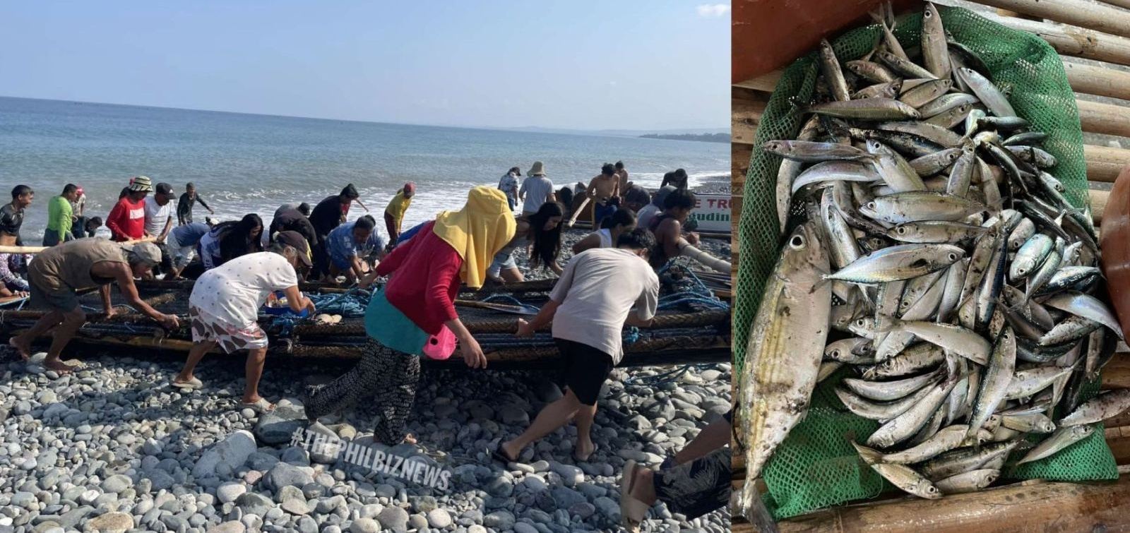 Japanese Fishing Tech Helps Philippine Community Thrive