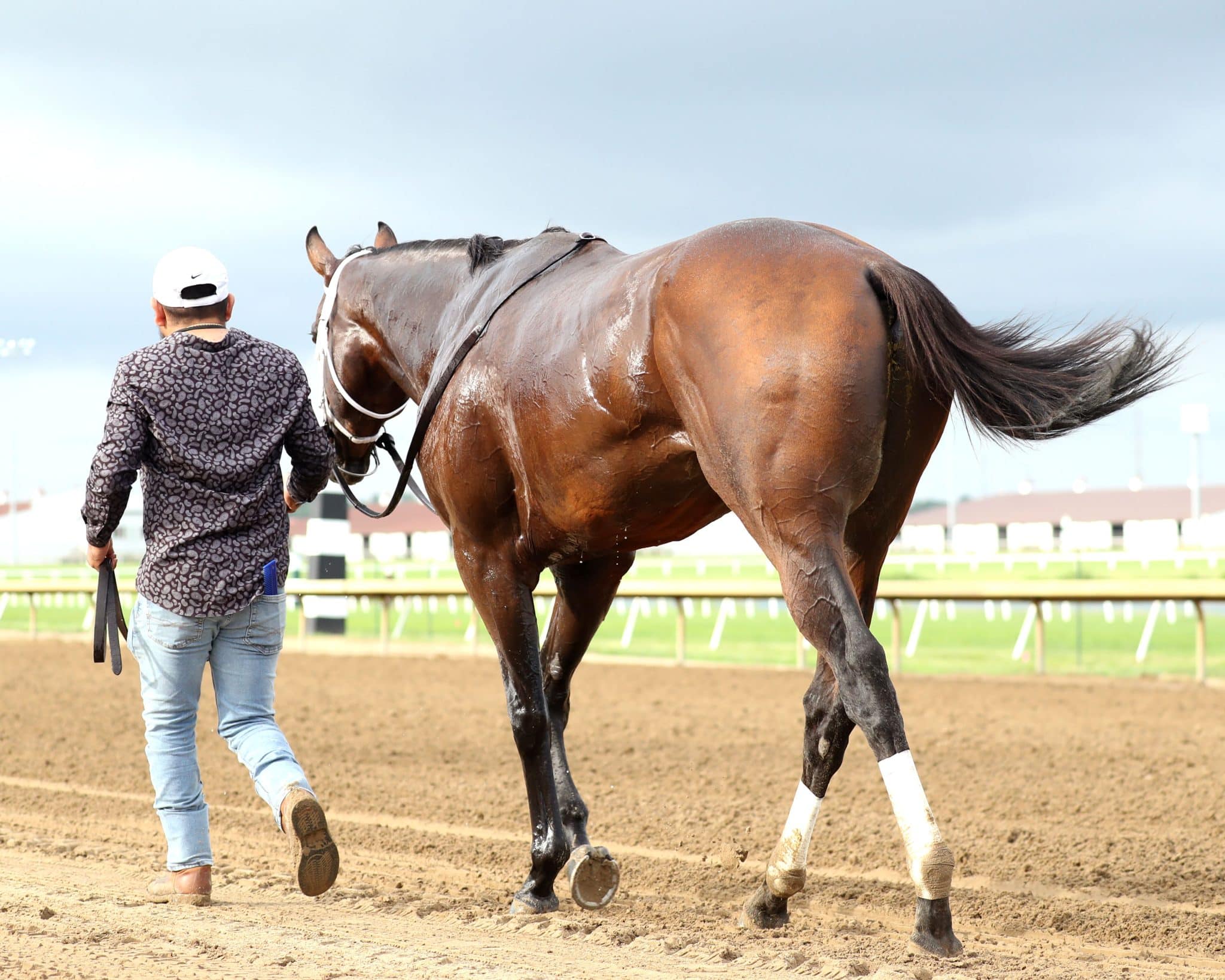 Reporter Bets on Horses to Help Homeless Veterans
