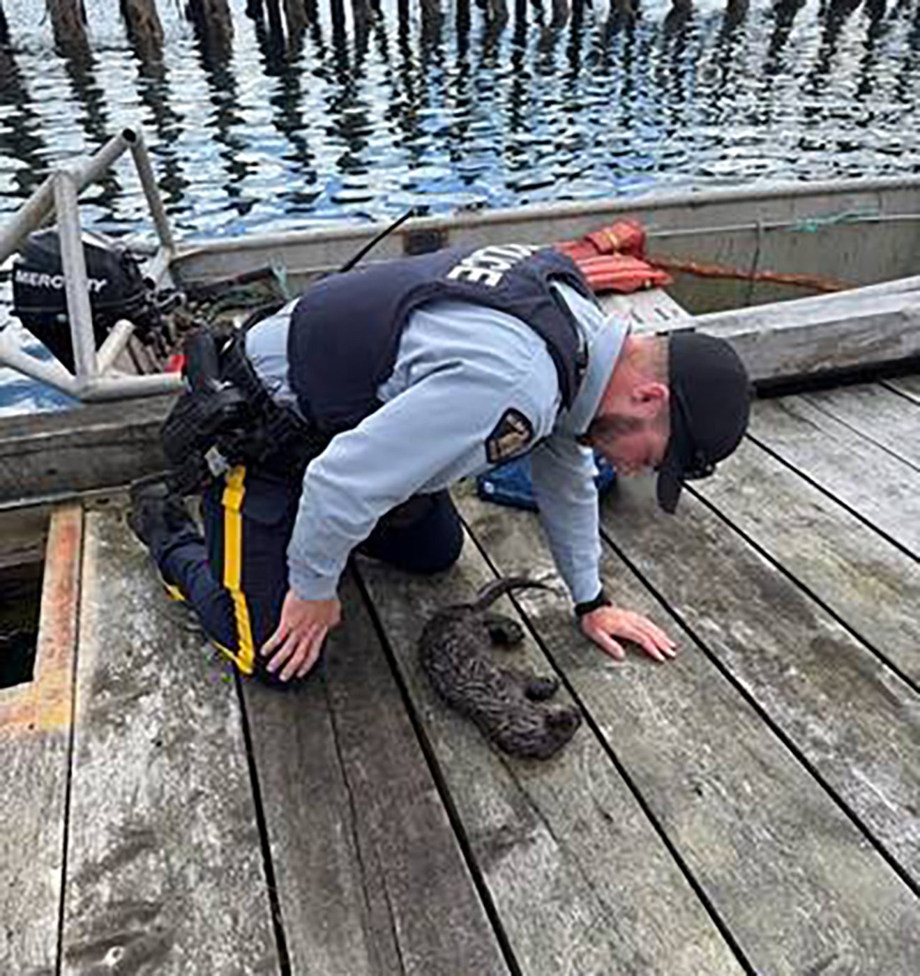 Otter Pup Saved by CPR Reunites With Family in B.C.