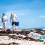 Dozens Clean Golden Sands Beach for World Ocean Day - Image 4