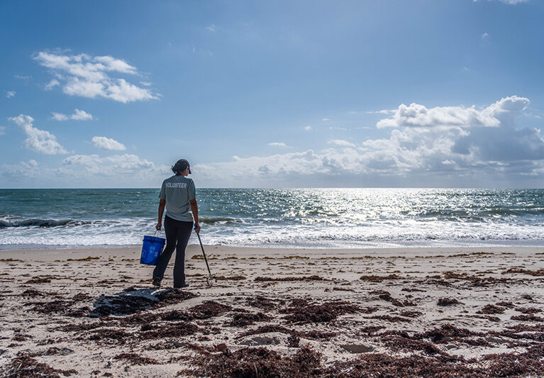 Dozens Clean Golden Sands Beach for World Ocean Day - Image 2
