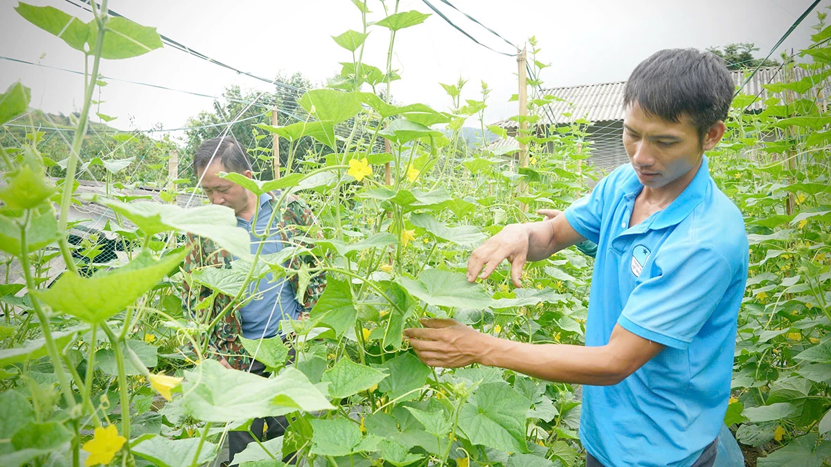 Vietnam Village Gets $3M in Roads, Jobs to End Poverty