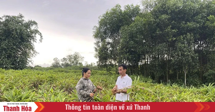 Vietnam Farmers Share Wealth to Lift Neighbors From Poverty