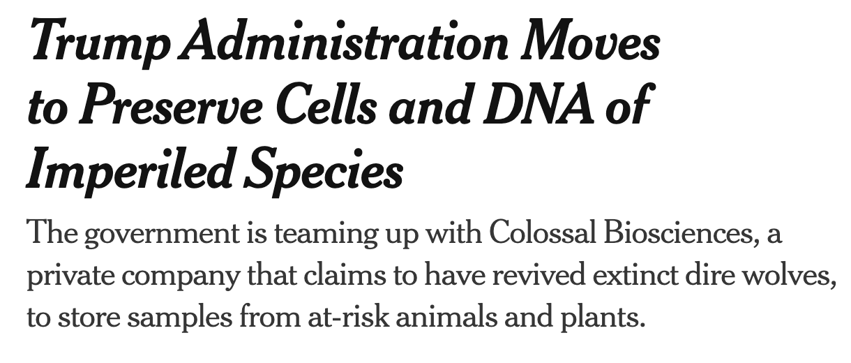 San Diego Zoo Clones Endangered Ferrets From Frozen Cells