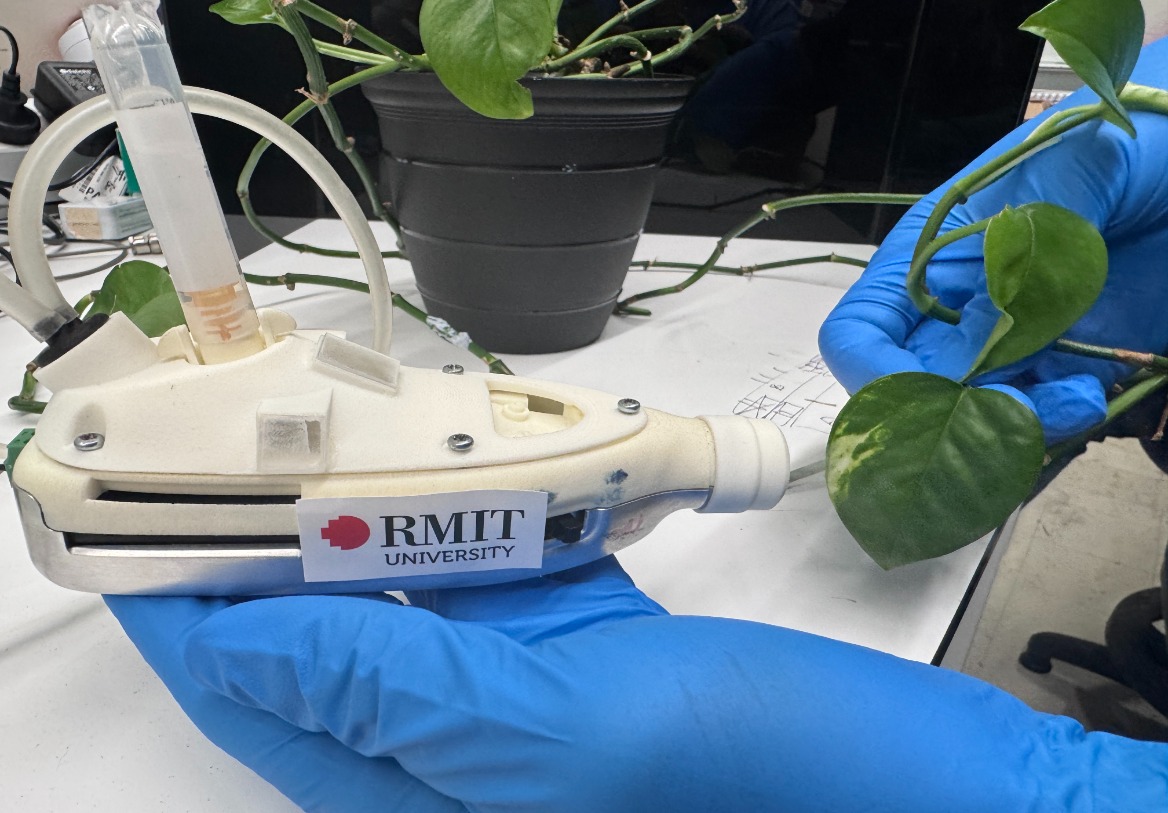 Sound Waves Create Plant Sunscreen in RMIT Breakthrough