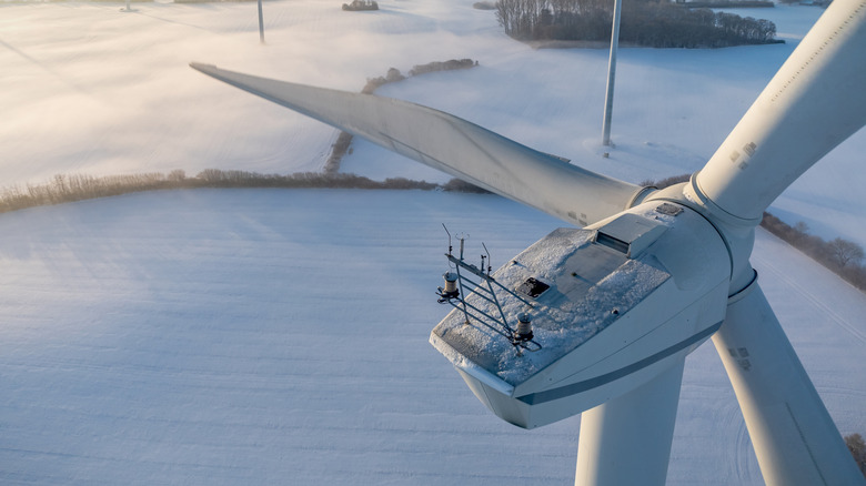 Scientists Turn Wind Turbine Blades Into Gummy Bears - Image 2