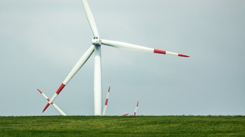 Wind Turbines Kill 70% Fewer Birds With Simple Paint Fix - Image 3